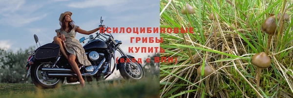 мескалин Алзамай