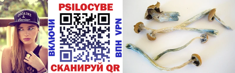 OMG ссылки  Лермонтов  Псилоцибиновые грибы Psilocybe  наркошоп 
